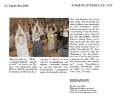 2009.09.30 - Schaufenster Blickpunkt Bornheim - Gesunde Ernährung - GesErn - Bornheim-Merten - PKW Hamacher