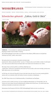 2018.07.23 - rheinische-anzeigenblaetter.de-Werbekurier - Schweinchen gebastelt - ZaGuG - Wesseling - VR-Bank Rhein-Erft